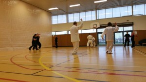 hunggarnancy-artsmartiaux-wushu-kungfu-passage-duan-19decembre2015-4  